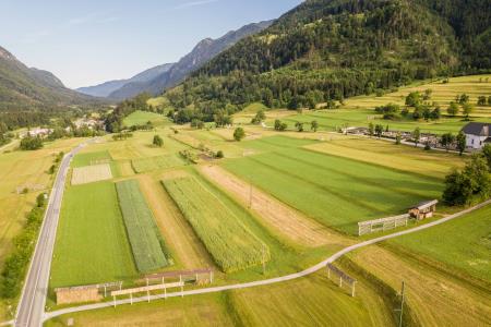 Ragor_Kranjska Gora_9_Foto Tim Žgavec
